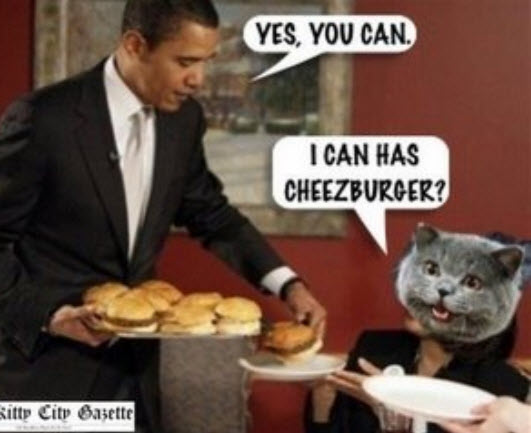 "I can has cheezeburger?"  "Yes you can."